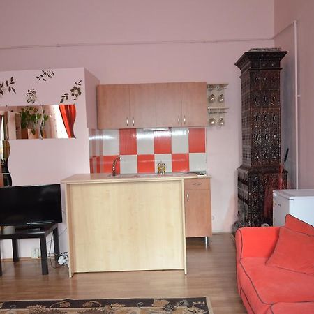 Cosy Studio Apartment Клуж-Напока Екстериор снимка
