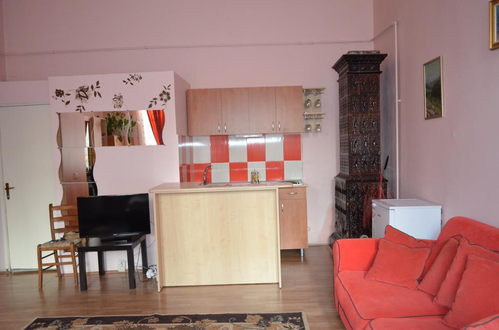 Cosy Studio Apartment Клуж-Напока Екстериор снимка