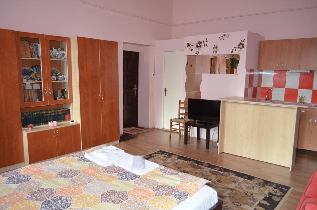 Cosy Studio Apartment Клуж-Напока Екстериор снимка